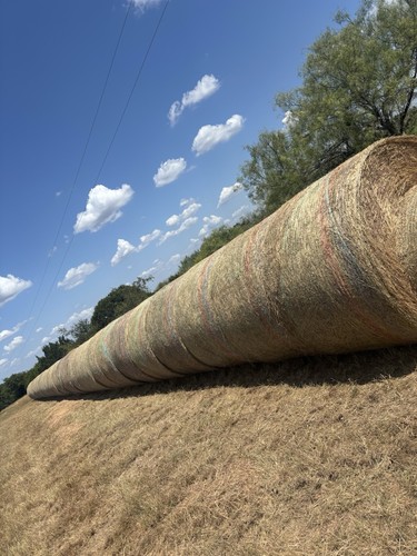 Large round hay bales - hay,