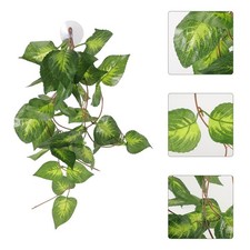 Décor De Terrarium D'habitat