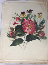 P198-Fleurs: Aquarelle