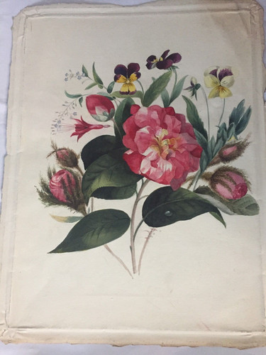P198 fleurs aquarelle - p198-fleurs:,