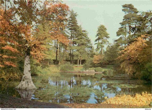 Carte postale angleterre - carte,