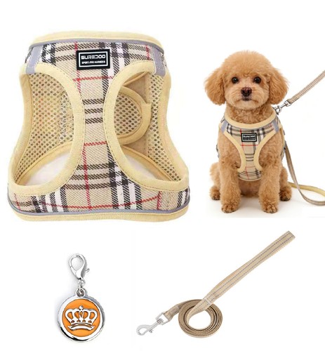 Harnais pour petit chien avec - chien,