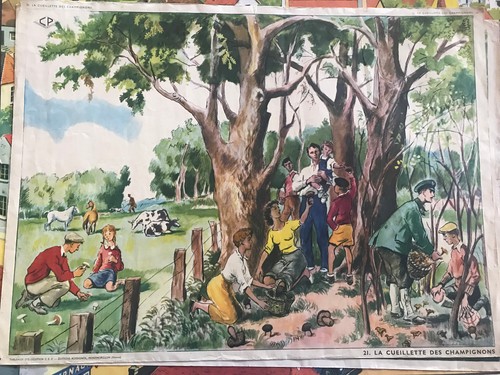 Ancienne affiche scolaire - ancienne, an