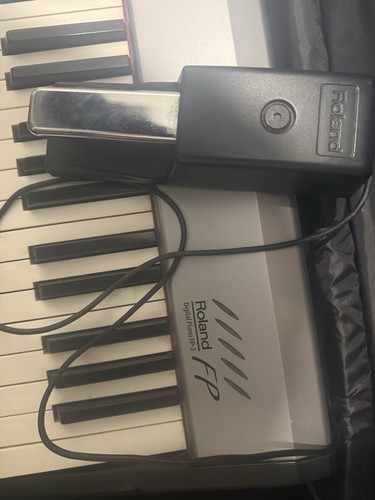 Roland touches piano - 88,