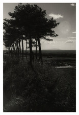 Japan, Road near&#039;Ōiso, Silhouette of&#039;Island of&#039;Oshima, Print vi