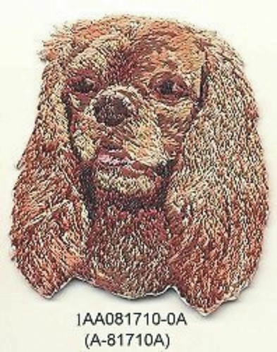 2 cavalier king - x,