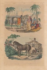 HORSES. Cheval Arabe (Arabian Horse). Cheval Trait (cart horse) 1833 old print