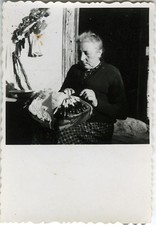 ANTIQUE PHOTO - VINTAGE SNAPSHOT - EMBROIDERY SPINDLES EMBROIDERY - NEEDLEPOINT