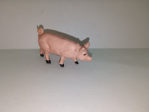 Acedo ferme cochon - acedo,