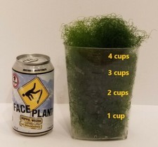 4 cups of Macro Algae