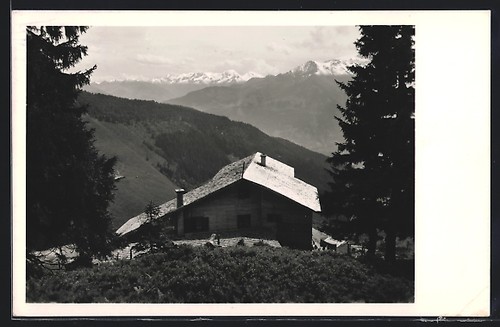 Carte postale pinzgauer haus - pinzgauer,