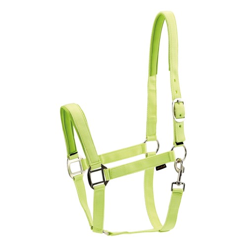 Harnais nylon pour chevaux - nylon,
