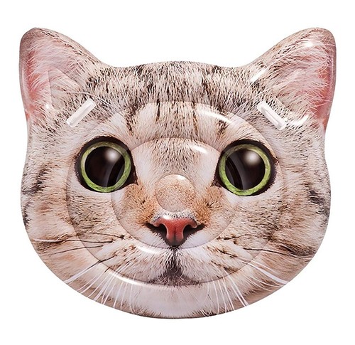 Matelas gonflable ile chat - ile,