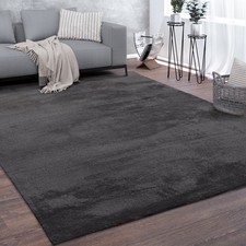 Tapis De Salon Poils Ras Lavable Monochrome Style Moderne Gris Anthracite