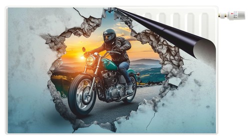 Tapis protection de - tapis,