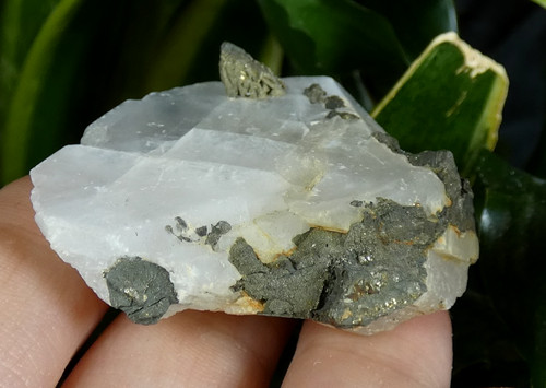 Pyrite sur calcite - sur, traversant