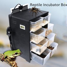 Boîte d'incubateur de reptiles boîte thermostatique automatique incubateur po...