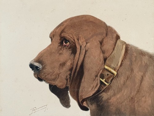 Chien chasse aquarelle - chien,