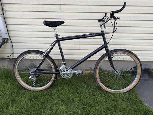 Vintage 1983 cannondale - vintage,