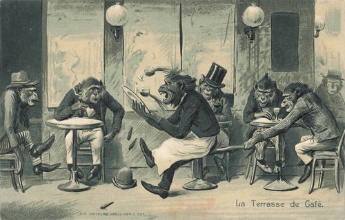 Singes humanises la terrasse - humanises,