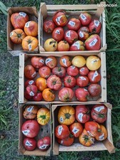 🍅 10 SACHETS DE VARIETES DE