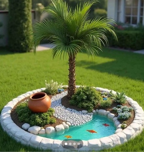 Palmiers trachycarpus - palmiers,