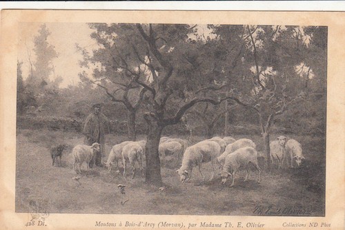 Bois arcy moutons tableau - moutons, de