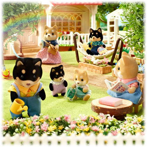 Famille chiens shiba - chiens,