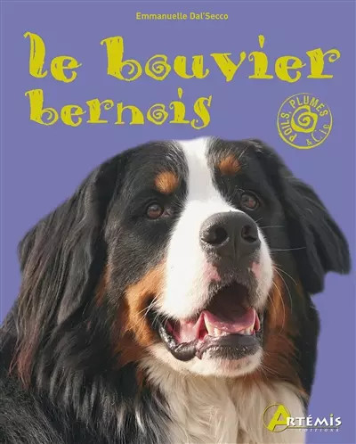 Bouvier bernois secco - le, e