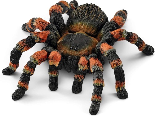 Wild life mygale 14829 8 - mygale, 6