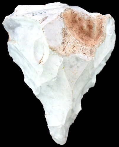 Neolithic large perforateur - neolithic,