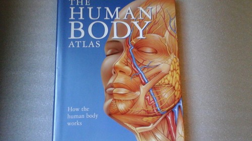 The human body - body, atlas: