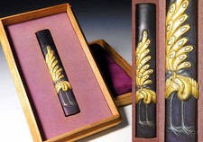 Paon beau Kinko Kozuka dans sa