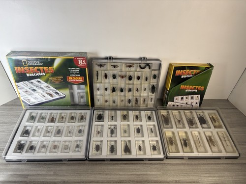 Lot insectes inclusions - de,