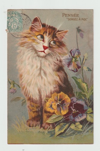 Maurice boulanger chat cpa - maurice,