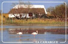 LA CAMARGUE - Guardian's Cabin in the Swamps 