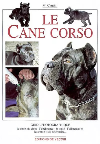 Cane corso micaela - corso,,