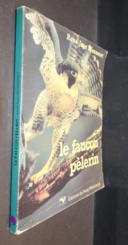 Faucon pèlerin par - pÈlerin,