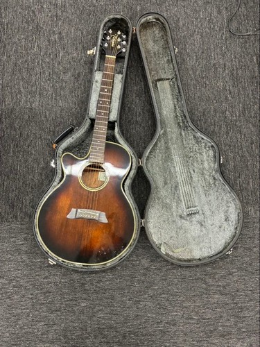 Guitare acoustique électrique