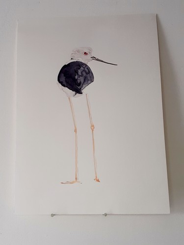 échasse blanche peinture - Échasse,