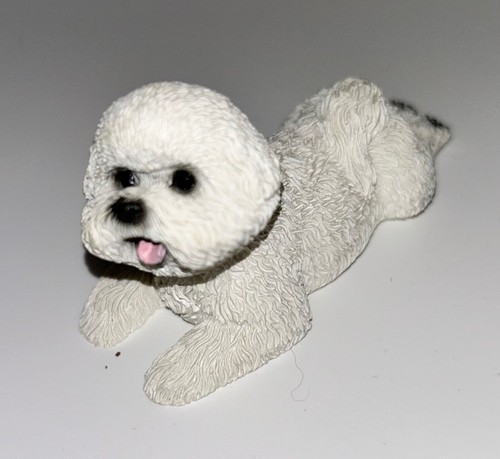 Small lying bichon frise - lying,