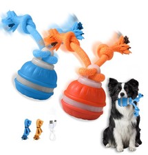 Jouet pour Chien Interactif 2