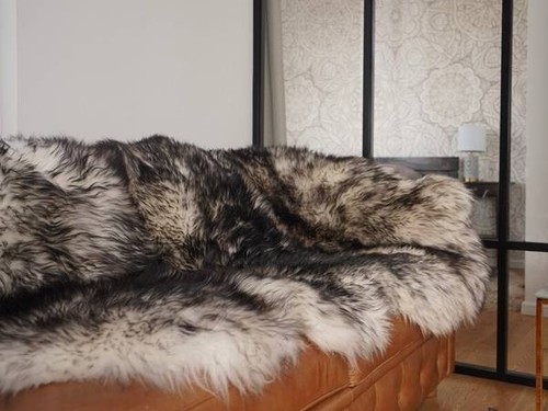 Real sheepskin mouflon - mouflon, rug