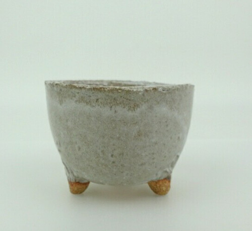 Pot bonsaï japonais - bonsaï,