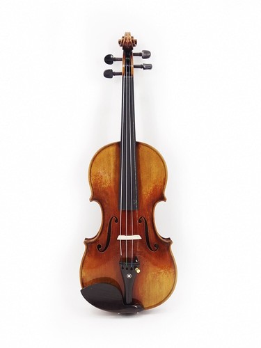 Violon professionnel fait - violon,