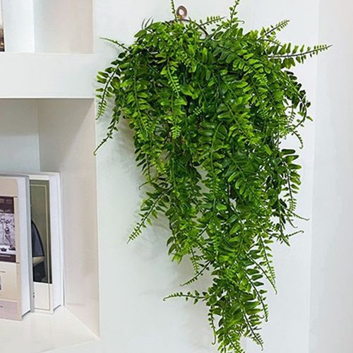 Plante suspendue plastique - en,