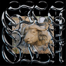 Gila Trench Tones (Vinyl) 12"