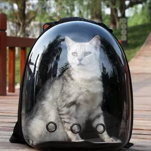Sac dos transport chat - dos, de