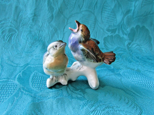 Paire oiseaux oisillons en - paire,