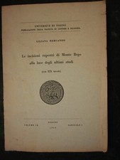 Le incisioni rupestri di Monte